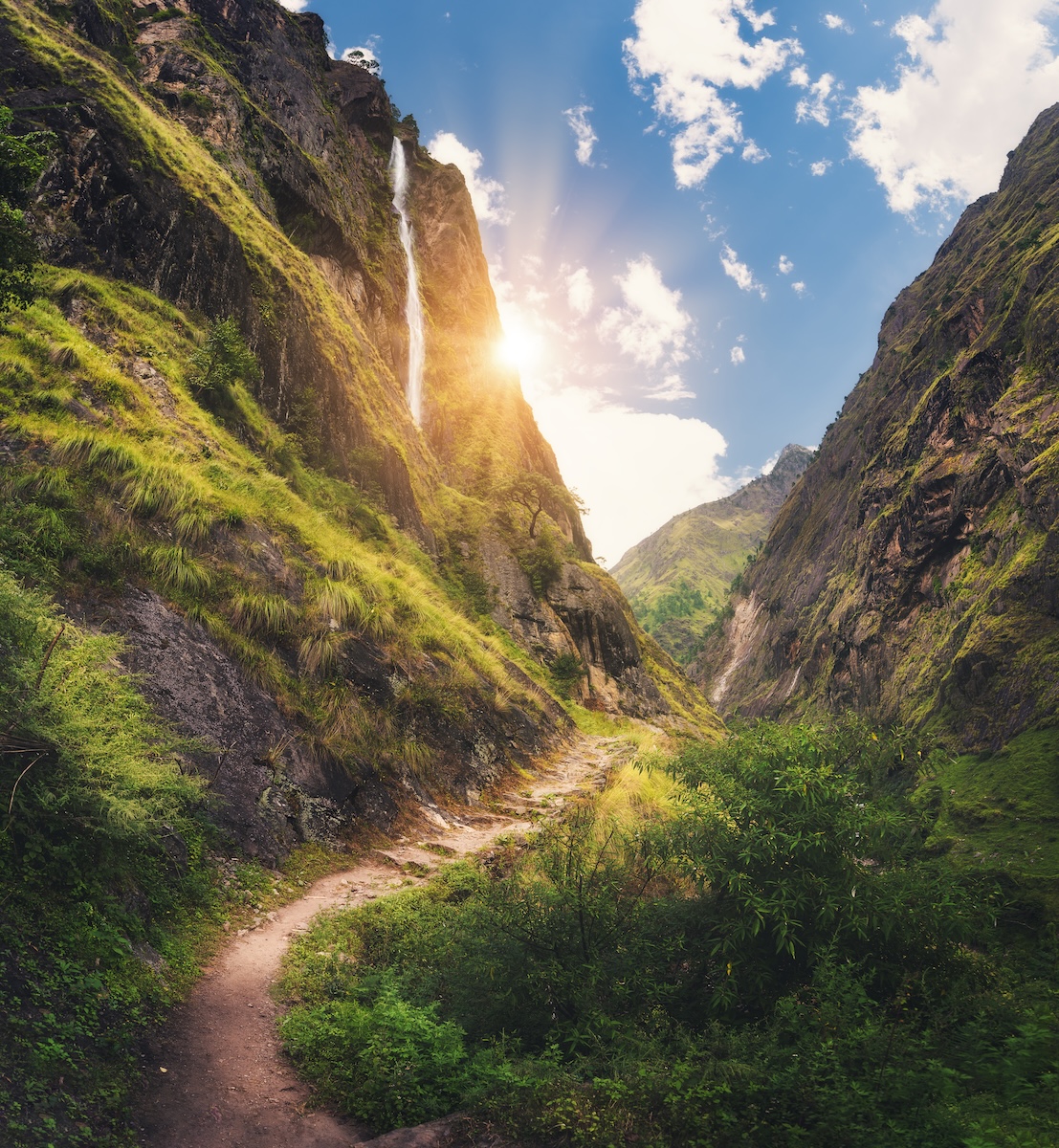 Mountain Forest Path